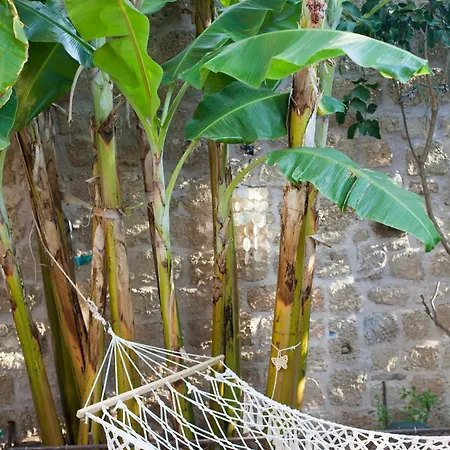 ヴィラ Old Town Classic House Rhodes