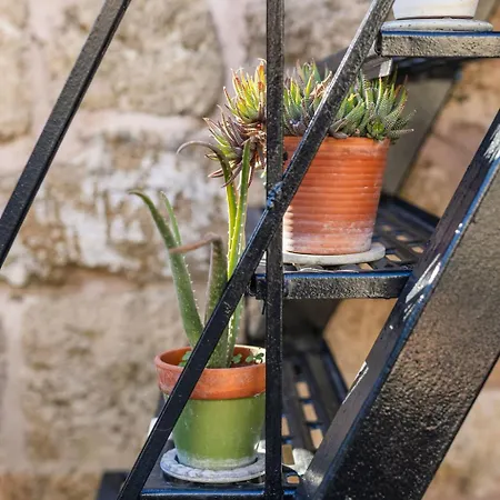 ヴィラ Old Town Classic House Rhodes *