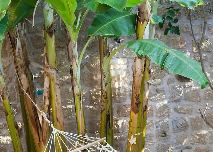 Villa Old Town Classic House Rhodes